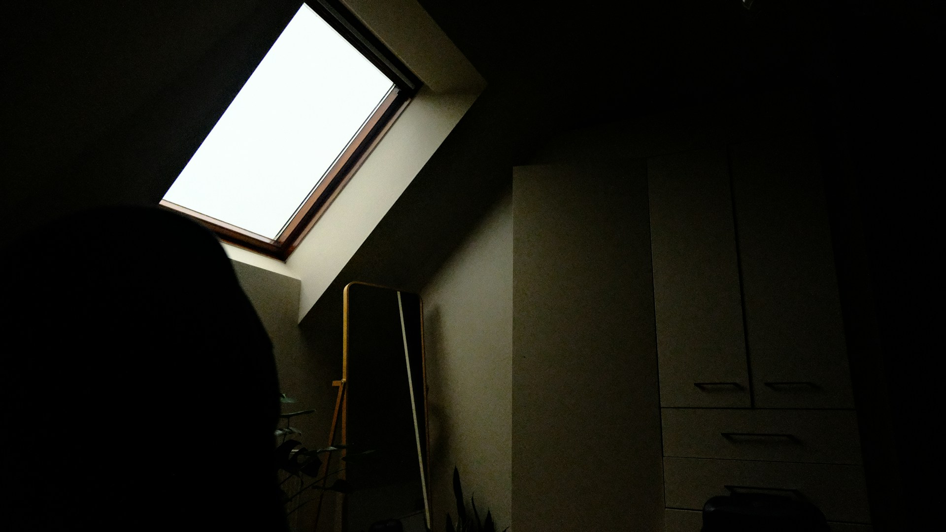 lichtkoepel expert