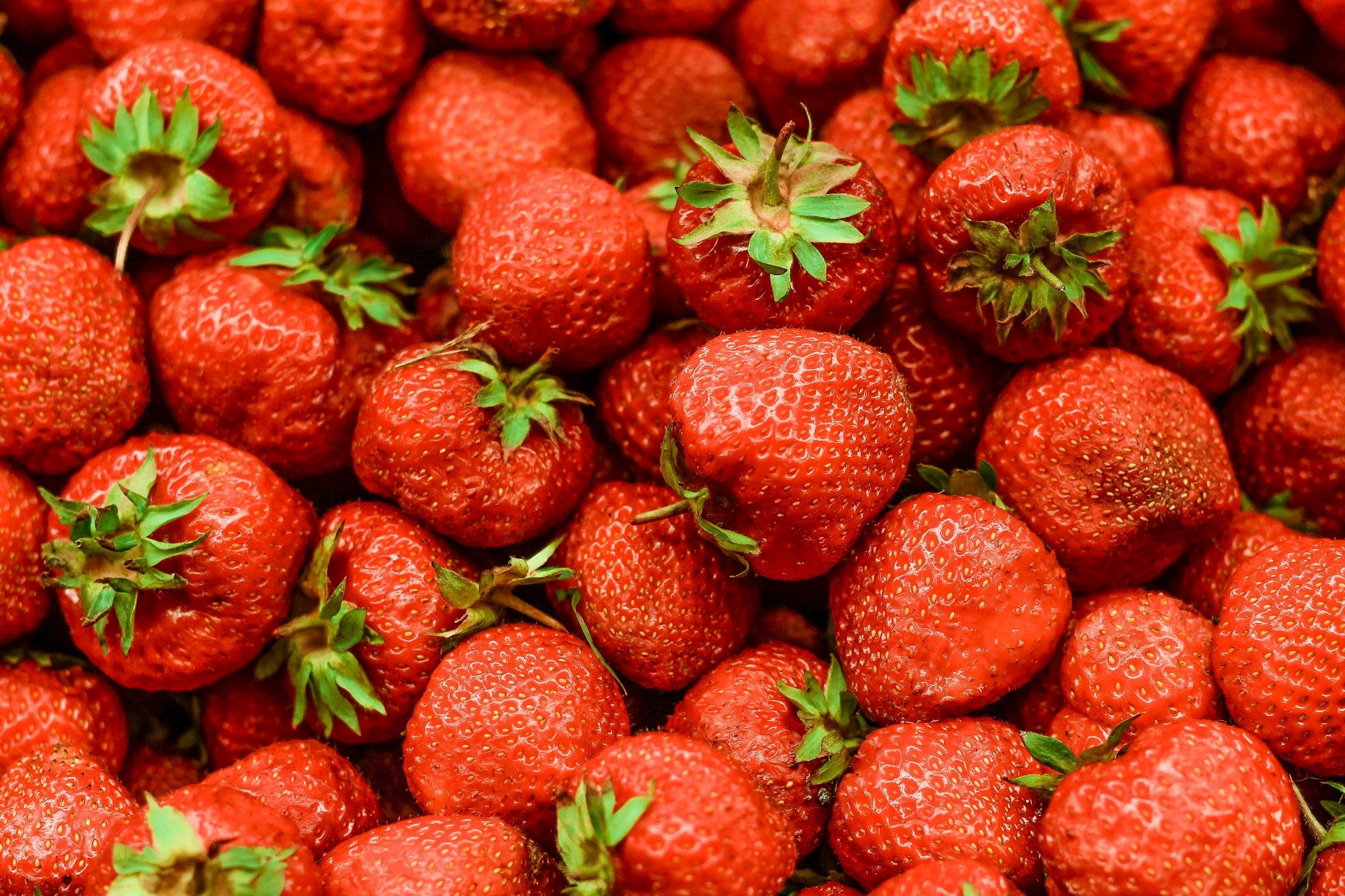 fruitschalen