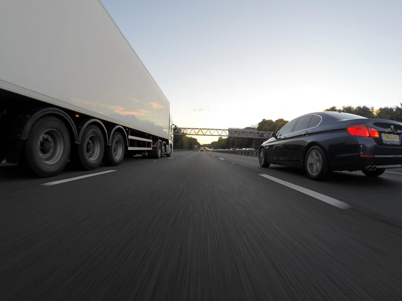 Kooiaap transport